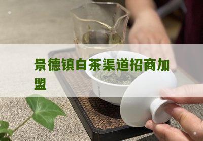 景德镇白茶渠道招商加盟