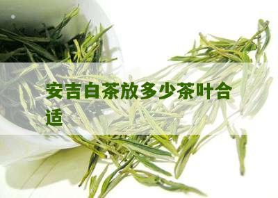 安吉白茶放多少茶叶合适