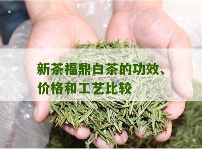 新茶福鼎白茶的功效、价格和工艺比较