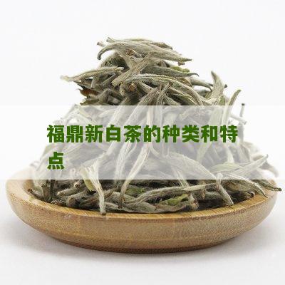 福鼎新白茶的种类和特点