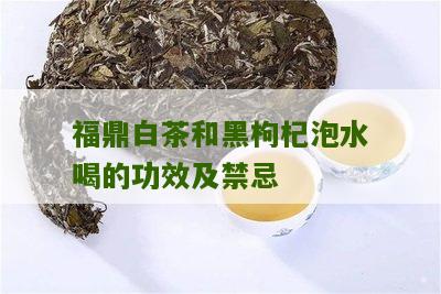 福鼎白茶和黑枸杞泡水喝的功效及禁忌