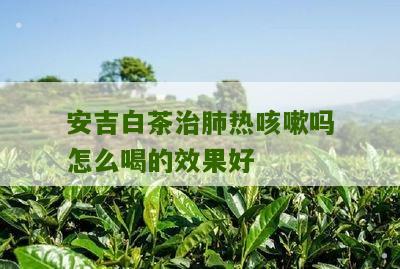 安吉白茶治肺热咳嗽吗怎么喝的效果好