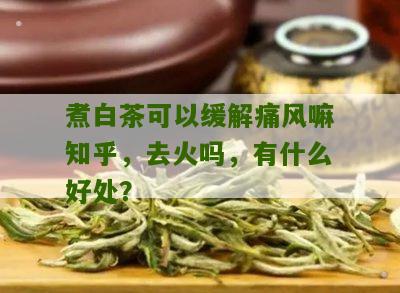 煮白茶可以缓解痛风嘛知乎，去火吗，有什么好处？