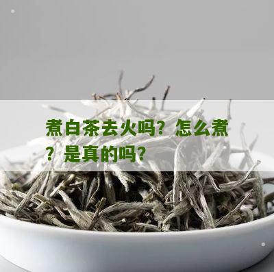 煮白茶去火吗？怎么煮？是真的吗？