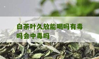 白茶叶久放能喝吗有毒吗会中毒吗