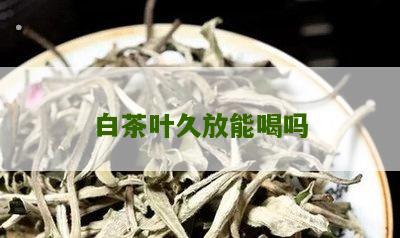 白茶叶久放能喝吗