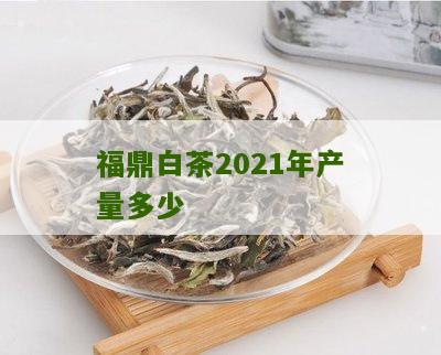 福鼎白茶2021年产量多少