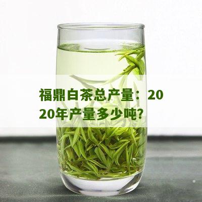 福鼎白茶总产量：2020年产量多少吨？