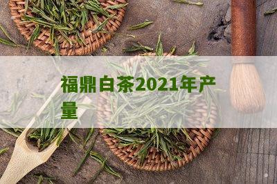 福鼎白茶2021年产量