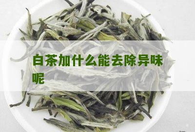 白茶加什么能去除异味呢