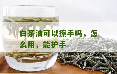 白茶油可以擦手吗，怎么用，能护手