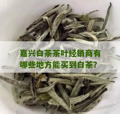 嘉兴白茶茶叶经销商有哪些地方能买到白茶？