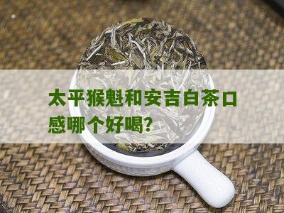 太平猴魁和安吉白茶口感哪个好喝？