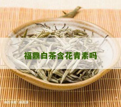 福鼎白茶含花青素吗