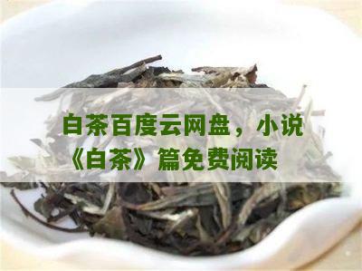 白茶百度云网盘，小说《白茶》篇免费阅读