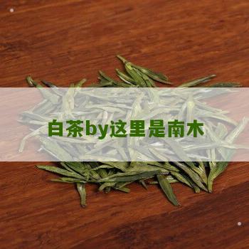 白茶by这里是南木