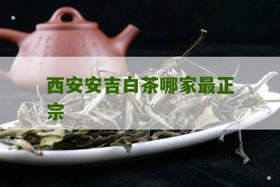 西安安吉白茶哪家最正宗