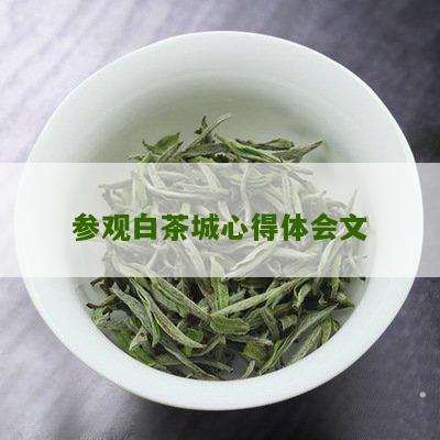 参观白茶城心得体会文