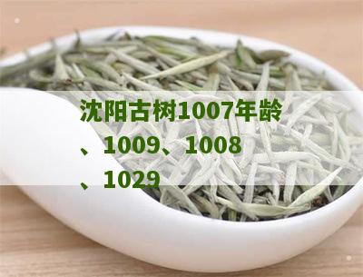 沈阳古树1007年龄、1009、1008、1029