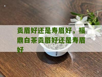 贡眉好还是寿眉好，福鼎白茶贡眉好还是寿眉好