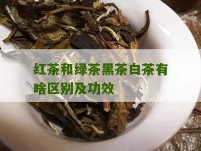 红茶和绿茶黑茶白茶有啥区别及功效