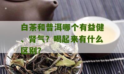 白茶和普洱哪个有益健、肾气？喝起来有什么区别？