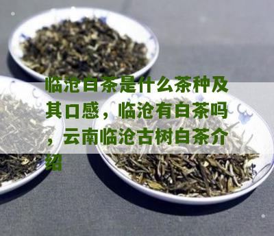 临沧白茶是什么茶种及其口感，临沧有白茶吗，云南临沧古树白茶介绍