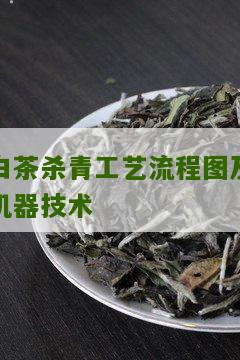 白茶杀青工艺流程图及机器技术