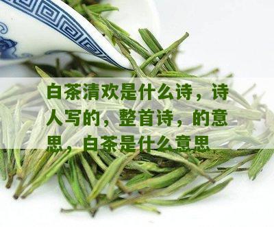 白茶清欢是什么诗，诗人写的，整首诗，的意思，白茶是什么意思