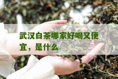 武汉白茶哪家好喝又便宜，是什么