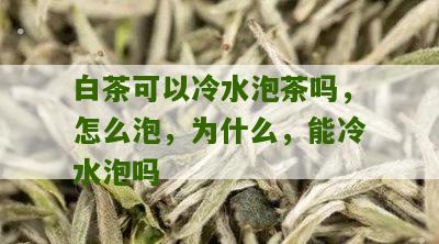 白茶可以冷水泡茶吗，怎么泡，为什么，能冷水泡吗