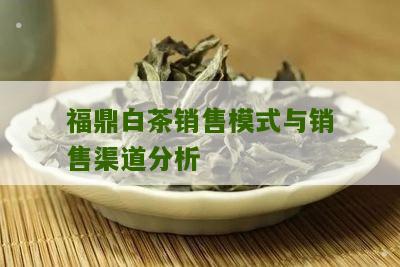 福鼎白茶销售模式与销售渠道分析