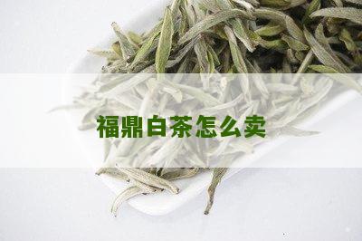 福鼎白茶怎么卖