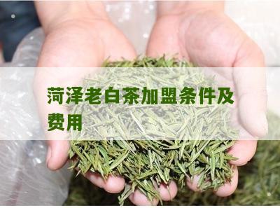 菏泽老白茶加盟条件及费用