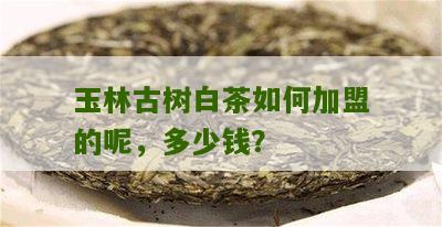 玉林古树白茶如何加盟的呢，多少钱？