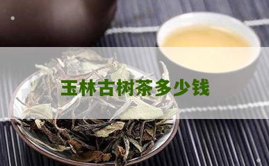 玉林古树茶多少钱