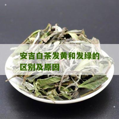 安吉白茶发黄和发绿的区别及原因