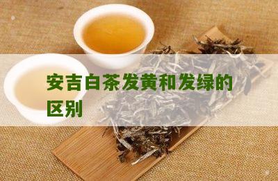 安吉白茶发黄和发绿的区别