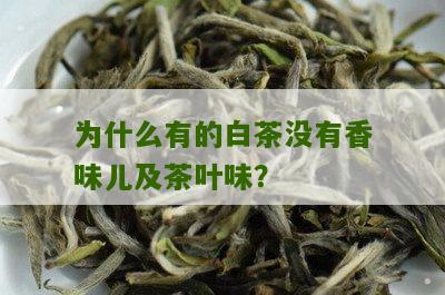 为什么有的白茶没有香味儿及茶叶味？