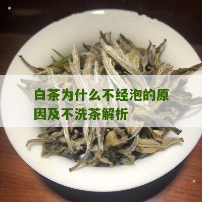 白茶为什么不经泡的原因及不洗茶解析