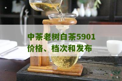 中茶老树白茶5901价格、档次和发布