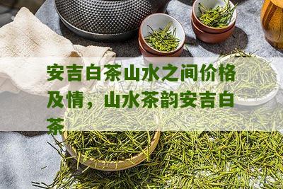 安吉白茶山水之间价格及情，山水茶韵安吉白茶