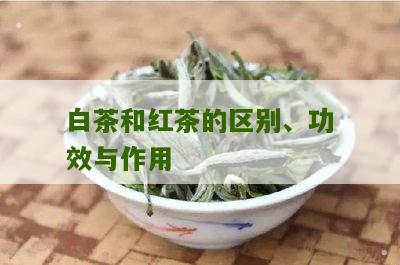 白茶和红茶的区别、功效与作用