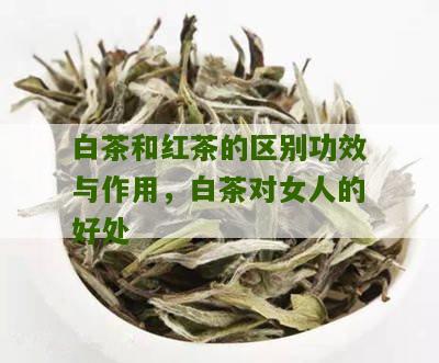 白茶和红茶的区别功效与作用，白茶对女人的好处