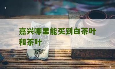 嘉兴哪里能买到白茶叶和茶叶