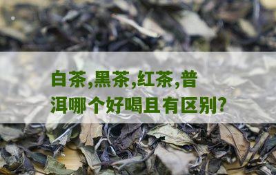 白茶,黑茶,红茶,普洱哪个好喝且有区别?