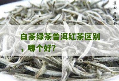 白茶绿茶普洱红茶区别，哪个好？