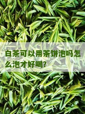 白茶可以用茶饼泡吗怎么泡才好喝？