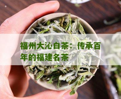 福州大沁白茶：传承百年的福建名茶