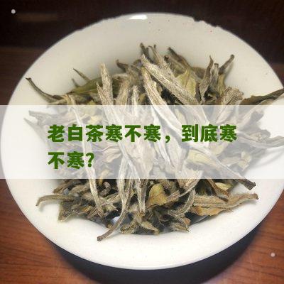 老白茶寒不寒，到底寒不寒？